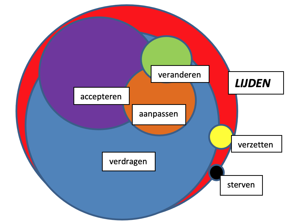 Figuur 2. Te verwachten effect van psychotherapie met betrekking tot de wijze van omgaan met lijden.