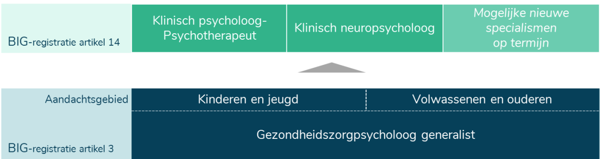 De nieuwe beroepenstructuur: alleen een academische master geeft toegang tot de opleiding tot ‘gz-psycholoog-generalist’. Kinderen en jeugd is daarin een ‘aandachtsgebied’, klinisch psycholoog-psychotherapeut is vervolgens een specialisme.